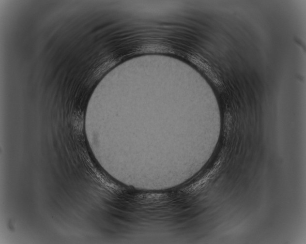 X0000097480841200803201507