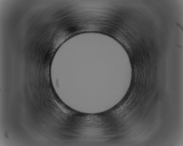 X0000097480842200803201507