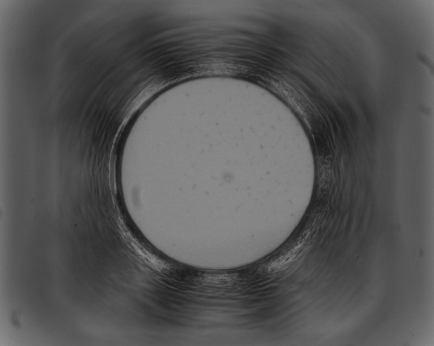 X0000097480843200803201508