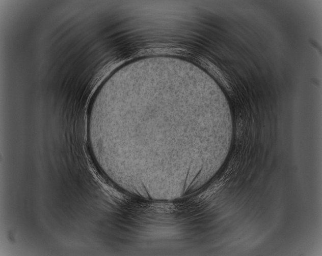 X0000097480844200803201508