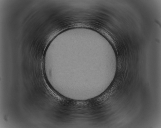 X0000097480847200803201508