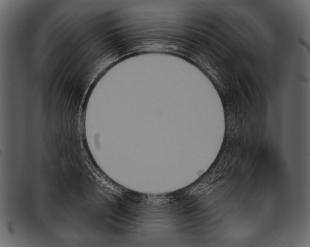 X0000097480848200803201508