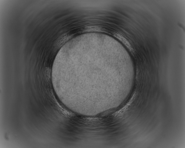 X0000097480849200803201508