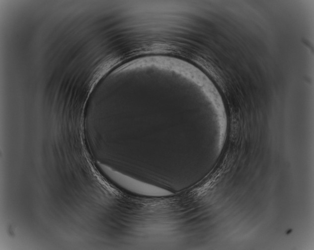 X0000097480850200803201508