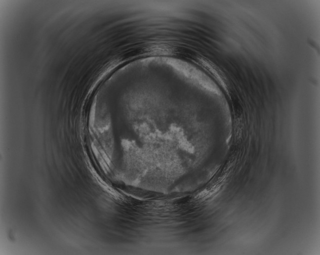 X0000097480851200803201508