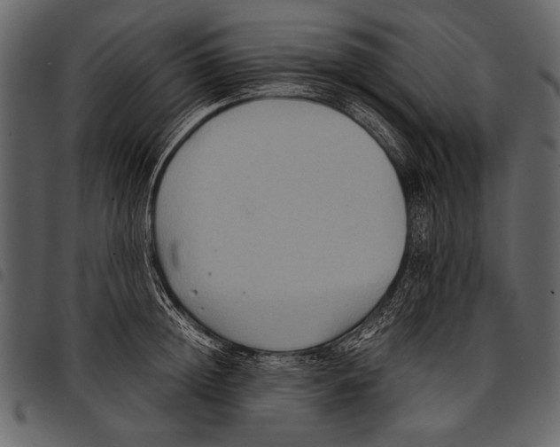 X0000097480852200803201508