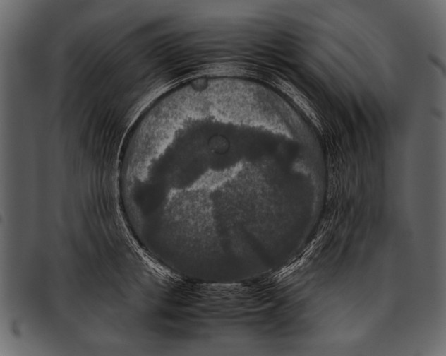 X0000097480853200803201508