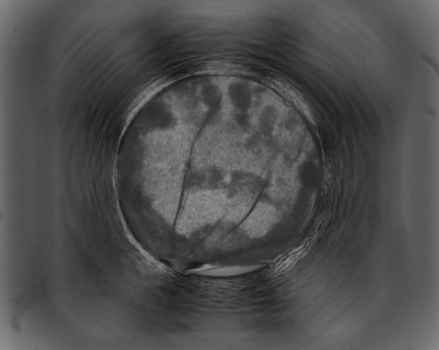 X0000097480855200803201508