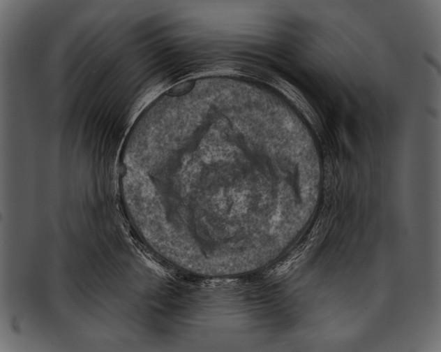 X0000097480858200803201508