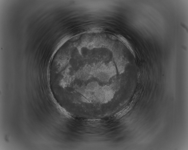 X0000097480859200803201508