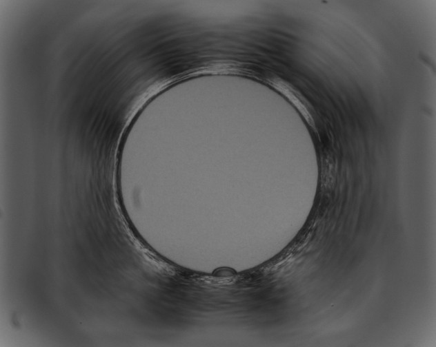 X0000097480861200803201508