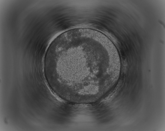 X0000097480862200803201508