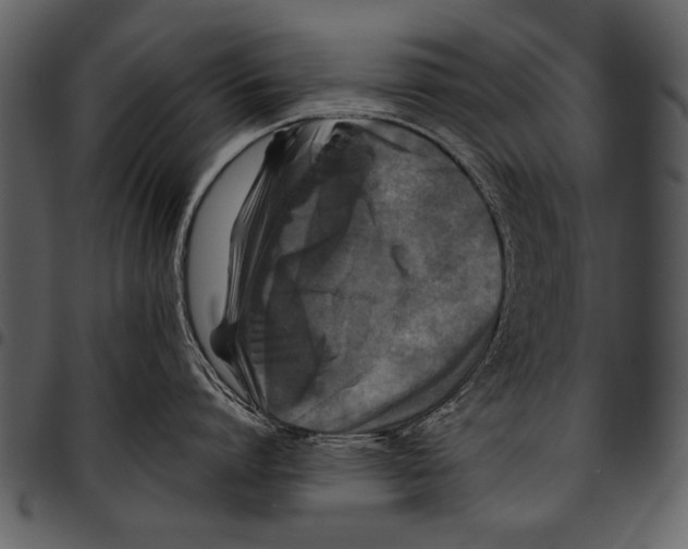 X0000097480864200803201508