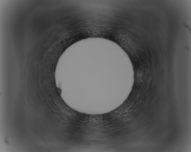 X0000097480865200803201507