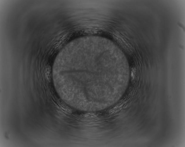 X0000097480867200803201507