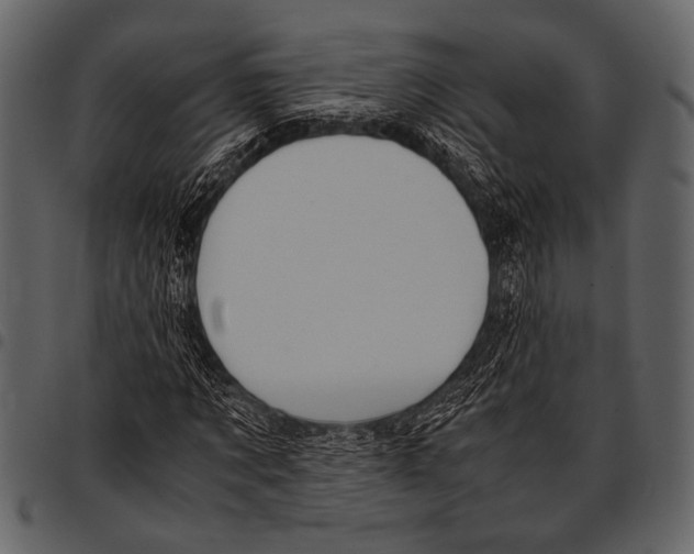 X0000097480869200803201507