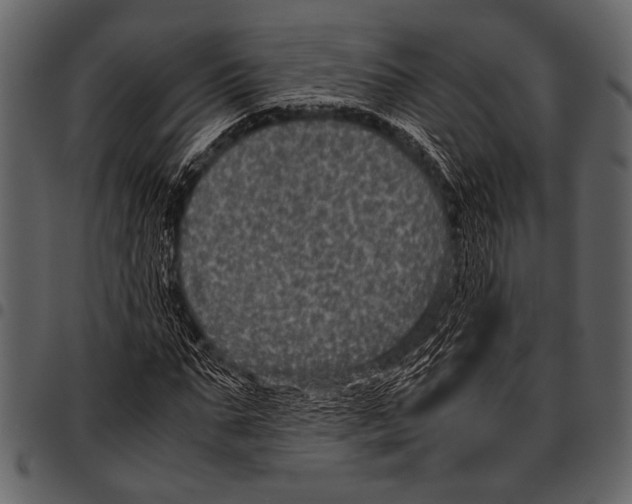 X0000097480871200803201507