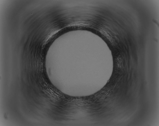 X0000097480872200803201507