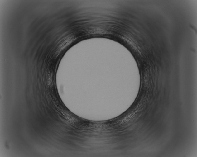 X0000097480873200803201507