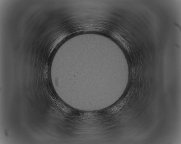 X0000097480875200803201507