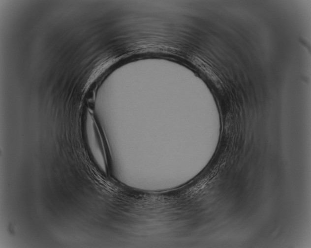 X0000097480877200803201507