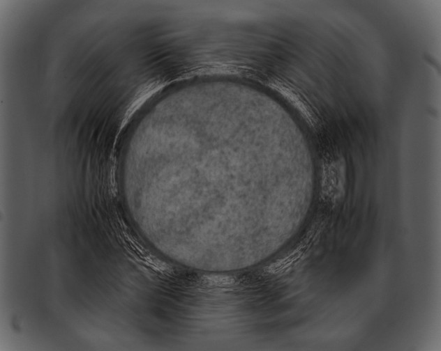 X0000097480878200803201507