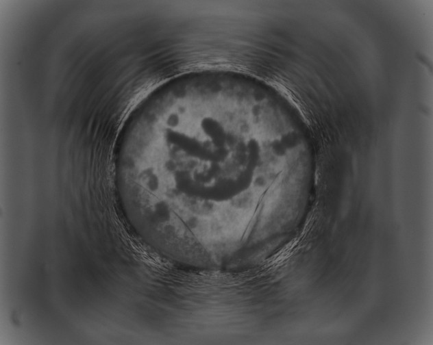 X0000097480879200803201507