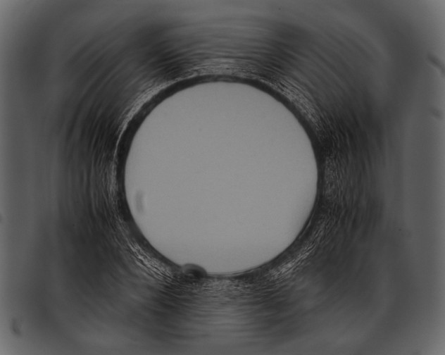 X0000097480880200803201507