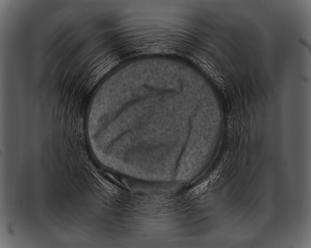 X0000097480881200803201507