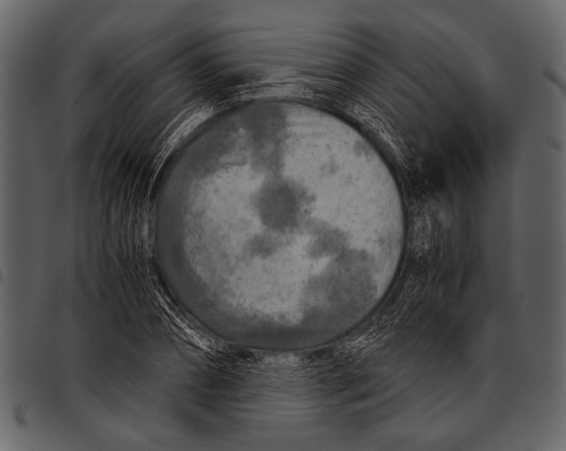 X0000097480882200803201507