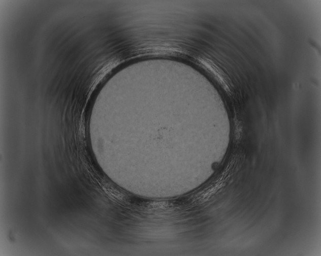 X0000097480883200803201507