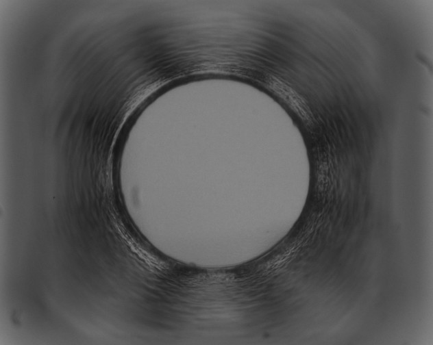 X0000097480884200803201507