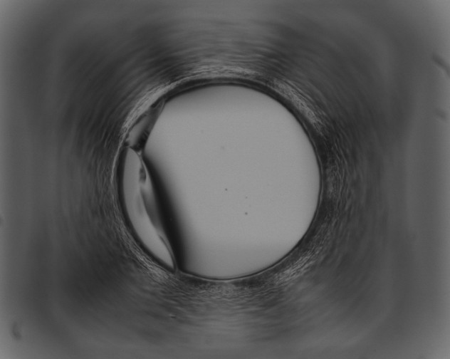 X0000097480885200803201507