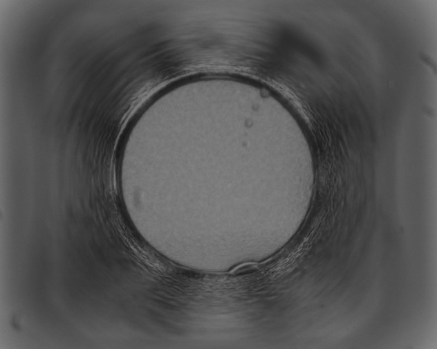 X0000097480887200803201507