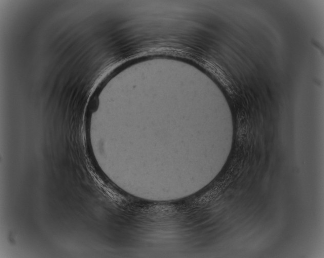 X0000097480888200803201507