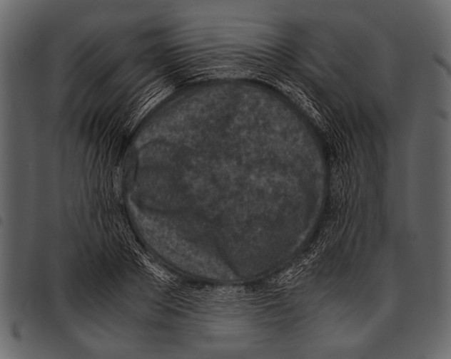 X0000097480889200803201507