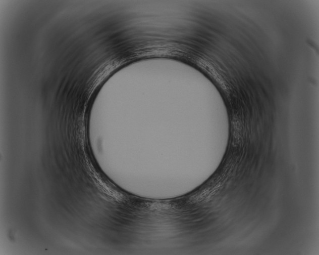 X0000097480890200803201507