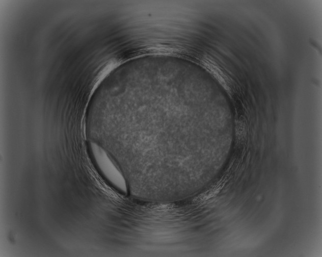 X0000097480891200803201507