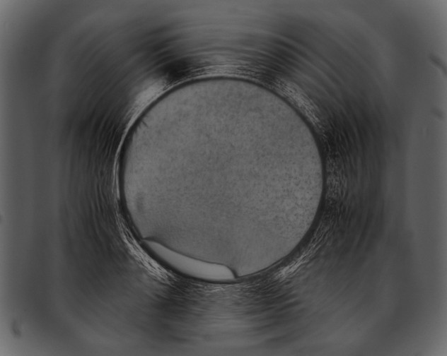 X0000097480892200803201507