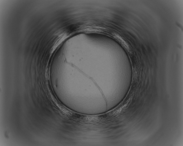 X0000097480893200803201507