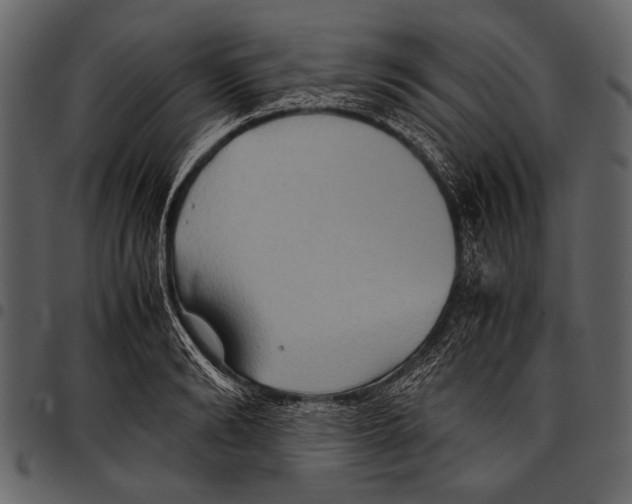 X0000097480894200803201507