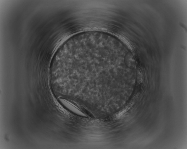 X0000097480895200803201507