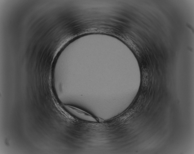 X0000097480896200803201507