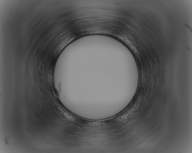 X0000097480897200803201507