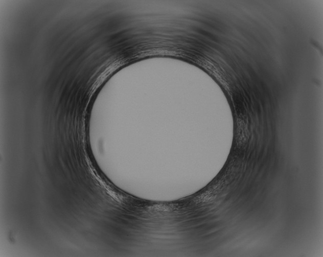 X0000097480898200803201507