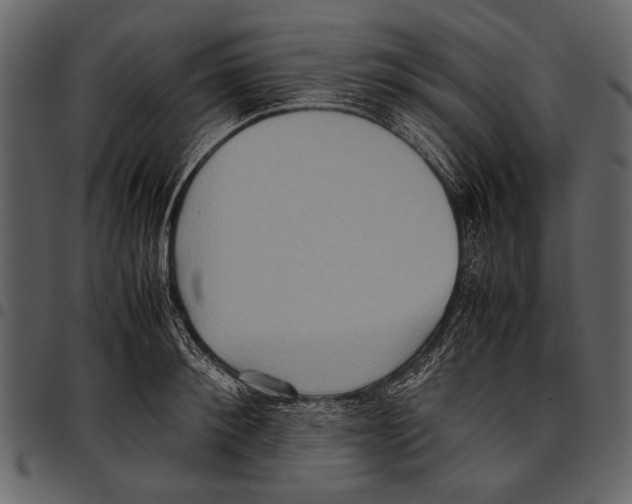 X0000097480900200803201507