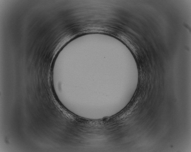 X0000097480901200803201507