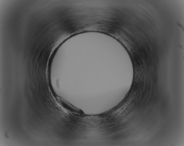 X0000097480902200803201507