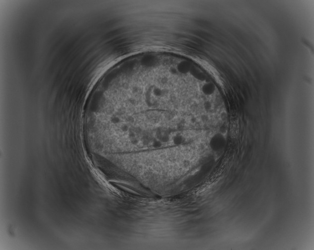 X0000097480903200803201507