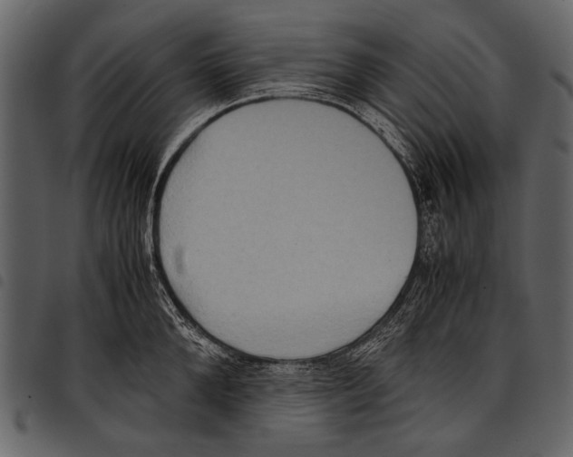 X0000097480904200803201507